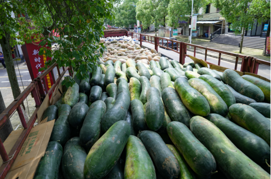 昆明市常德商会捐赠20万救灾生活物资驰援桃花源