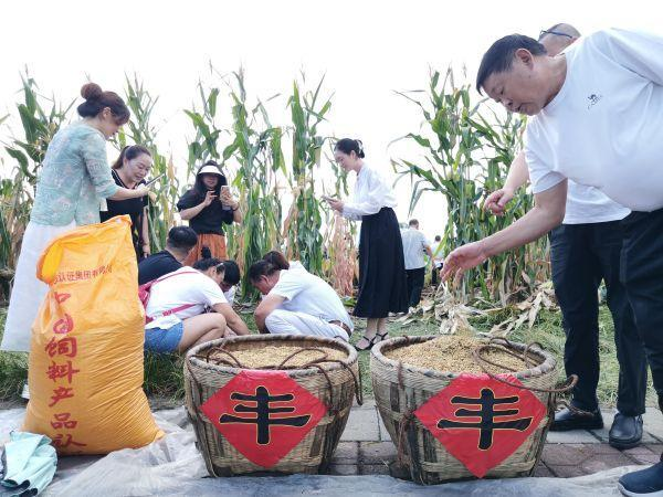 助力打造新时代更高水平“天府粮仓” “明优2号”杂交水稻高产试验实现超2000斤纪录