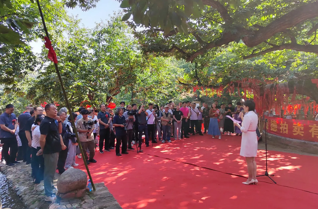 邢台市举办第九届太行山前南峪千年板栗竞买系列活动