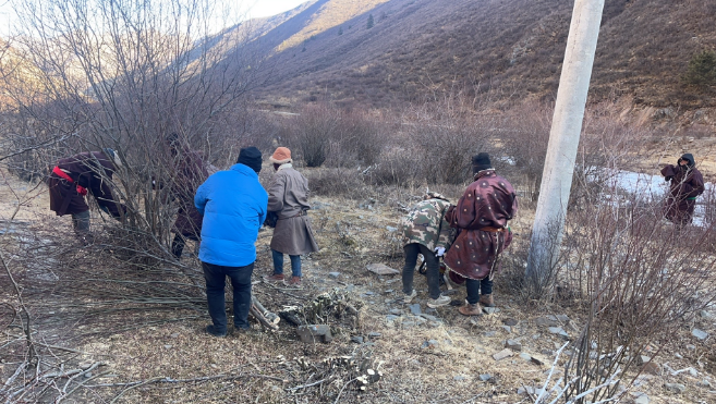 防森林火灾 护福地色达 ——色达县“以清促防”，强力打好林下可燃物清理“攻坚战”