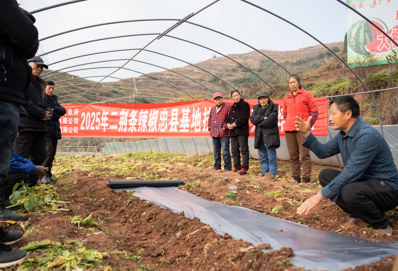 农业技术员现场讲解 (4).jpg