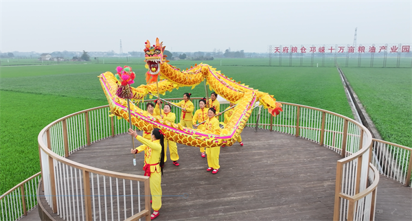 从麦田音乐节举办看邛崃高埂街道建设宜居宜业和美乡村的具象表达