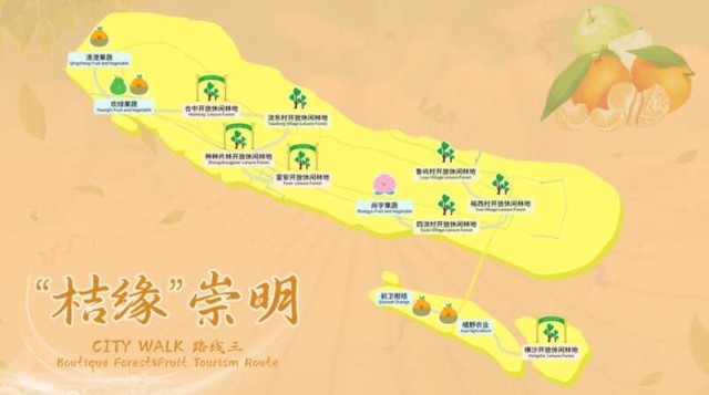 上海林业部门发布5条“吃瓜”CityWalk路线